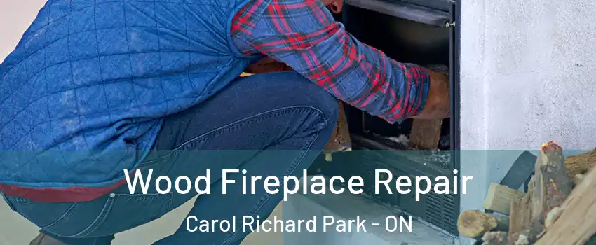  Wood Fireplace Repair Carol Richard Park - ON