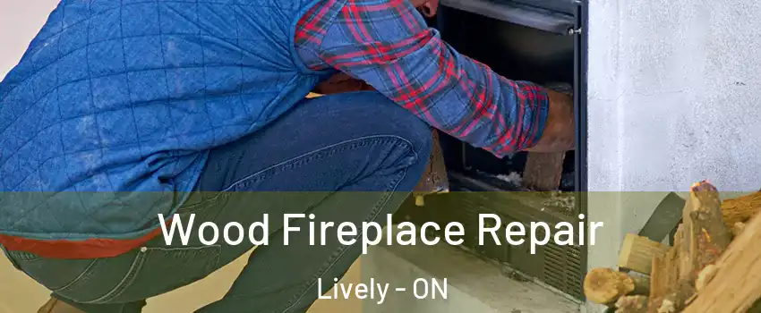  Wood Fireplace Repair Lively - ON