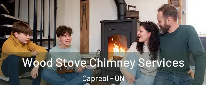  Wood Stove Chimney Services Capreol - ON