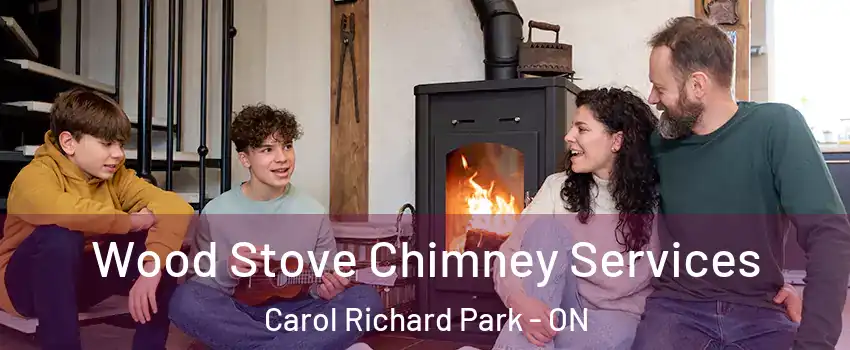 Wood Stove Chimney Services Carol Richard Park - ON