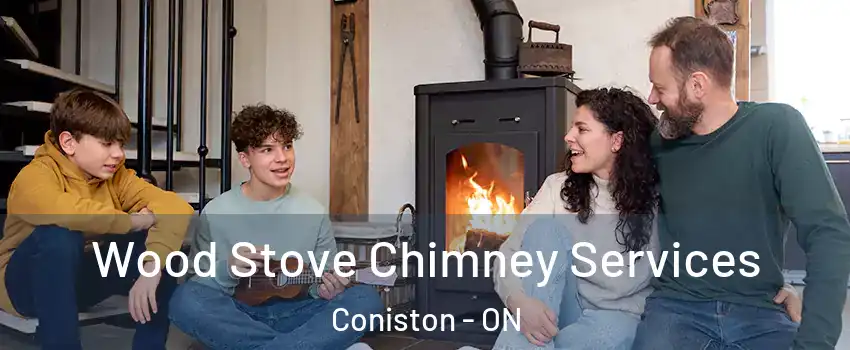  Wood Stove Chimney Services Coniston - ON