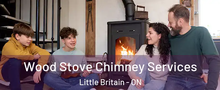  Wood Stove Chimney Services Little Britain - ON
