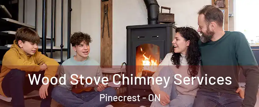  Wood Stove Chimney Services Pinecrest - ON
