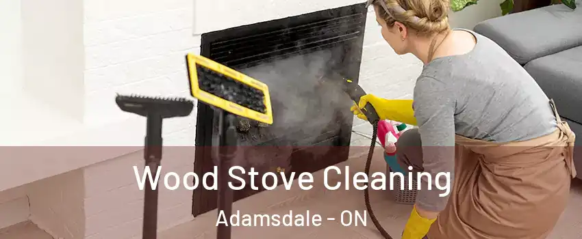  Wood Stove Cleaning Adamsdale - ON
