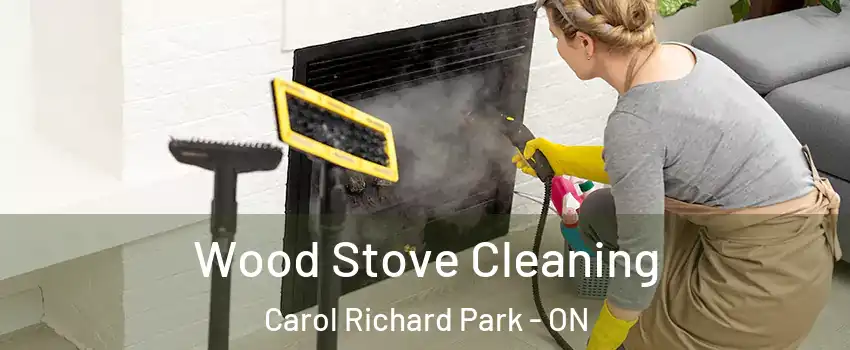  Wood Stove Cleaning Carol Richard Park - ON