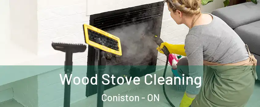  Wood Stove Cleaning Coniston - ON