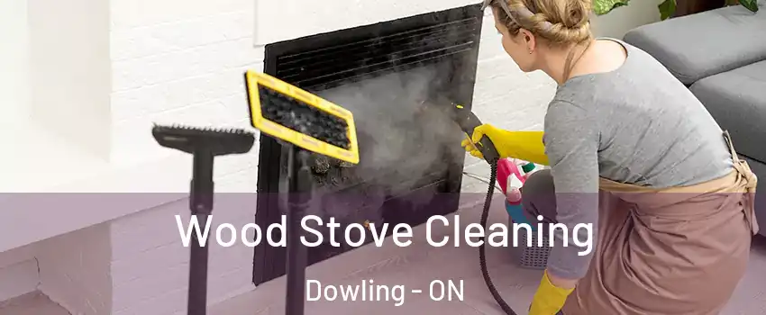  Wood Stove Cleaning Dowling - ON