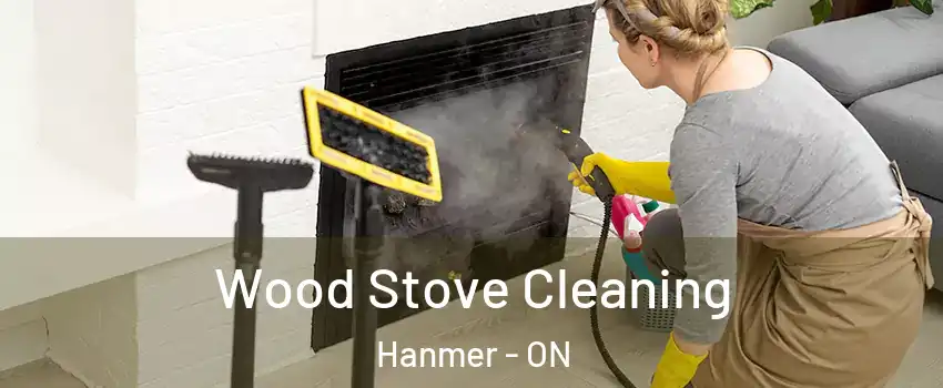  Wood Stove Cleaning Hanmer - ON