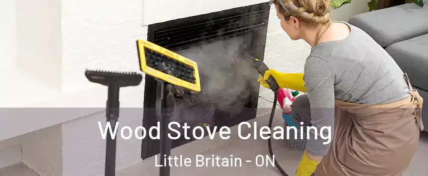  Wood Stove Cleaning Little Britain - ON