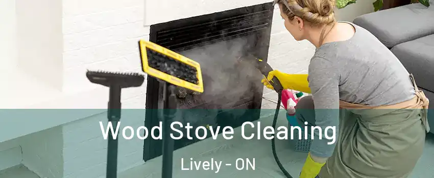  Wood Stove Cleaning Lively - ON