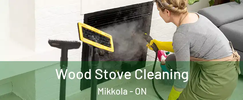  Wood Stove Cleaning Mikkola - ON