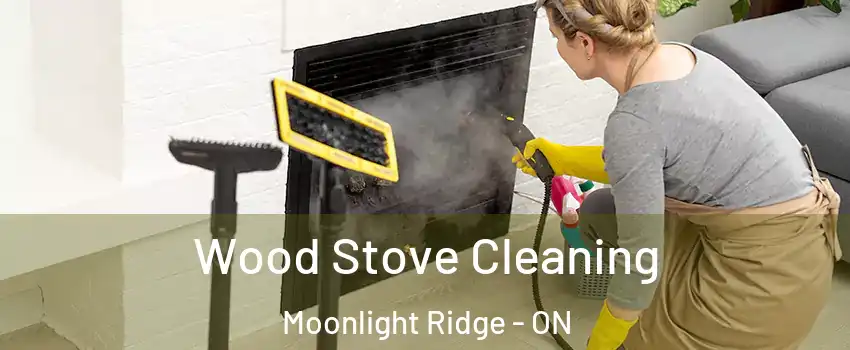  Wood Stove Cleaning Moonlight Ridge - ON