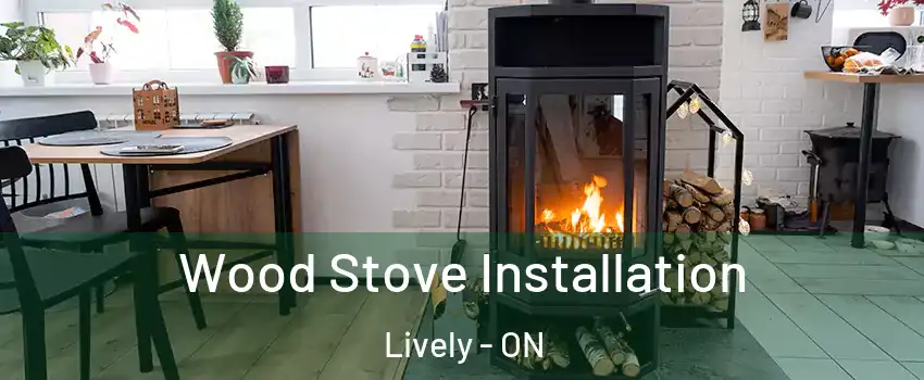  Wood Stove Installation Lively - ON