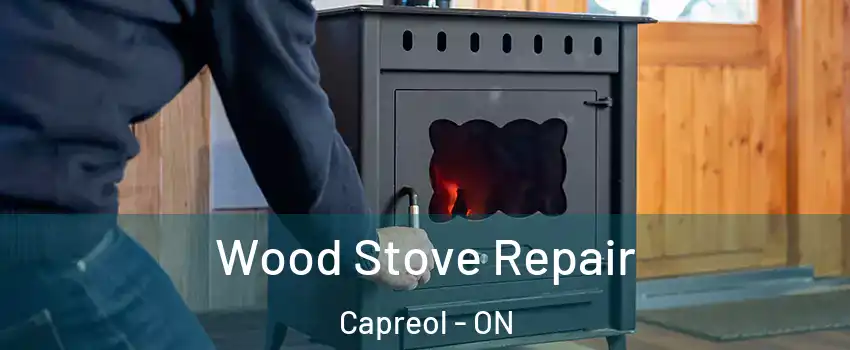  Wood Stove Repair Capreol - ON