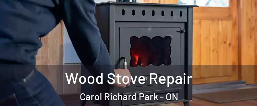  Wood Stove Repair Carol Richard Park - ON