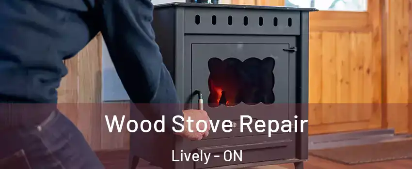  Wood Stove Repair Lively - ON